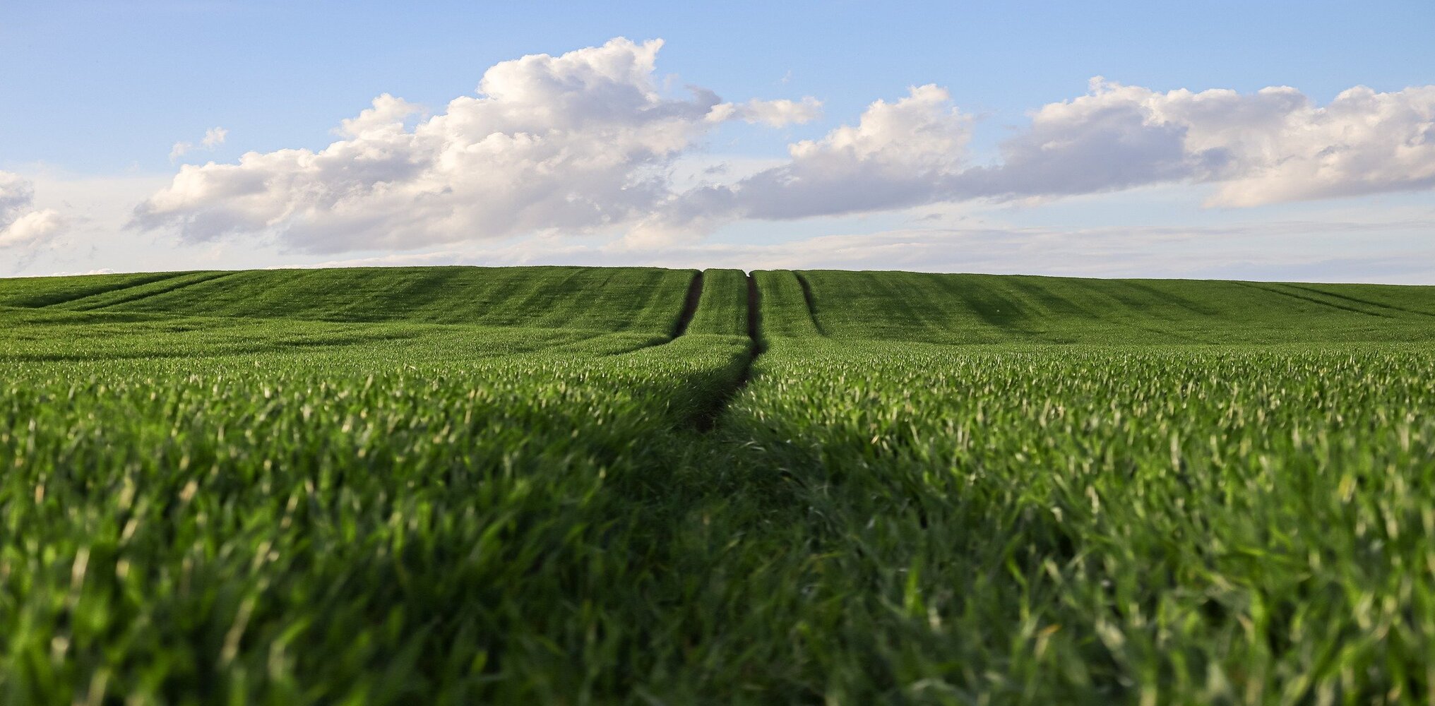 첫 번째 이미지